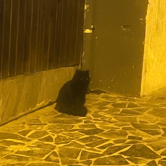 Meet your Posher, Kahinat - Picture 1 of 1